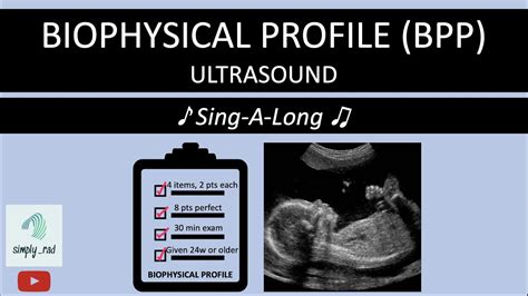 bps ultrasound|Biophysical Profile: Understanding Your BPP Test and Score.